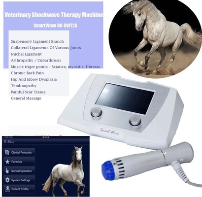 Máquina de terapia de onda de choque radial veterinária ESWT para cavalos