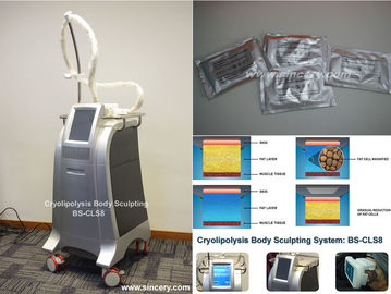 Emagrecimento do corpo/dar forma à máquina de congelação gorda de Cryolipolysis com controle de temperatura inteligente