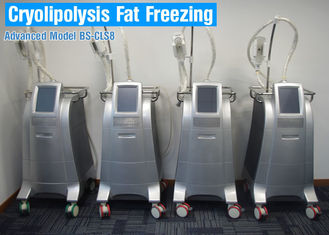 Máquina gorda ardente gorda do emagrecimento do gelo de Cryolipolysis, máquina gorda da cavitação para mulheres dos homens