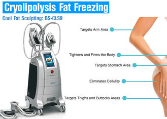 Máquina de congelação gorda do emagrecimento do corpo de Cryolipolysis de 4 punhos para a redução da perda/celulites de peso