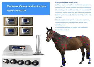 Terapia animal equino acústica do ponto do disparador do sistema 1-22Hz da terapia da inquietação do tratamento da dor