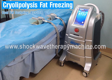 Máquina confortável do emagrecimento do corpo de Cryolipolysis com os 4 aplicadores dos PCes