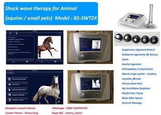 Máquina veterinária da terapia de choque do de alta energia de 190 MJ para o cavalo e animais de estimação pequenos