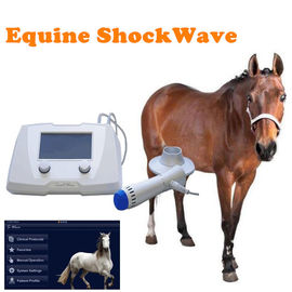 Máquina extracorporal equino da terapia da onda de choque da alta intensidade para o cavalo