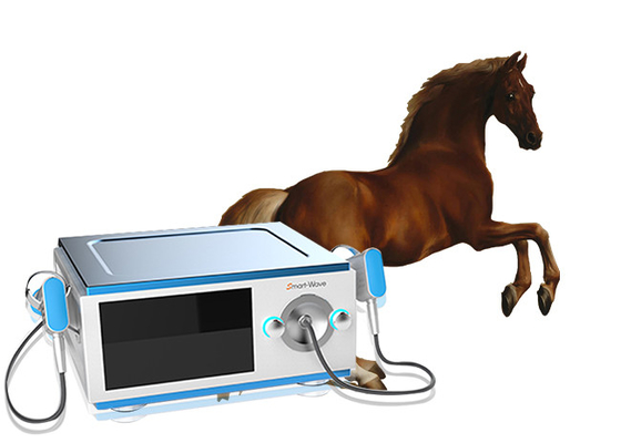 Equipamento equino da terapia da onda de choque do cavalo de baixo nível de ruído para a dor BS-SWT5000