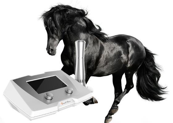 Máquina veterinária da terapia de choque do de alta energia de 190 MJ para o cavalo e animais de estimação pequenos