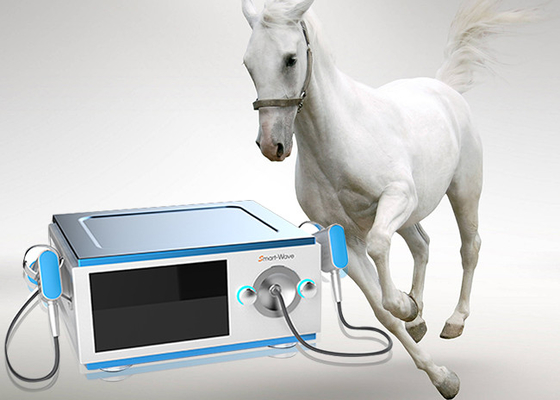 A dor reduz a máquina de baixo nível de ruído da inquietação do cavalo para o dispositivo médico dos cavalos