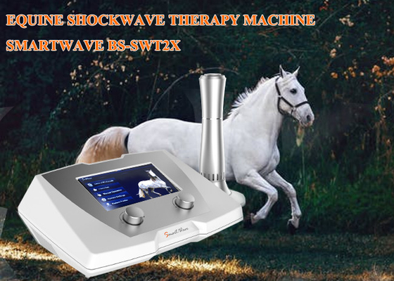 Ferimento esperto do tendão da máquina da terapia da onda acústica do equipamento da terapia da inquietação
