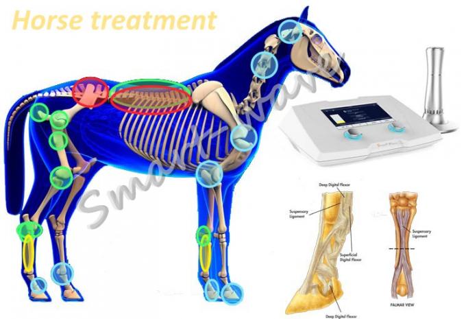 Máquina veterinária da terapia da onda de choque da máquina da terapia da onda de choque do de alta energia para o cavalo de corrida