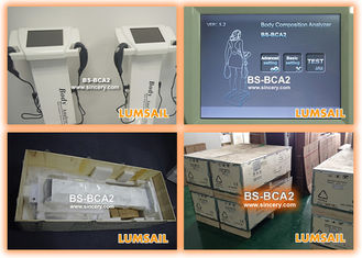 Bio - analisador exato eletrônico da gordura corporal de Impedancemetry com indicação digital