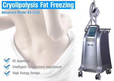 Equipamento ardente gordo da máquina gorda do emagrecimento do corpo de Cryolipolysis do gelo com tecnologia refrigerando