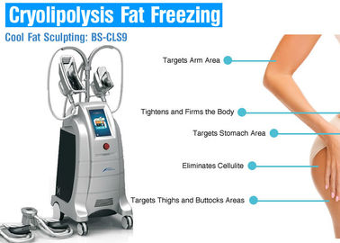 Máquina gorda do emagrecimento do gelo de Cryolipolysis com os 4 punhos para o uso do salão de beleza ou da clínica