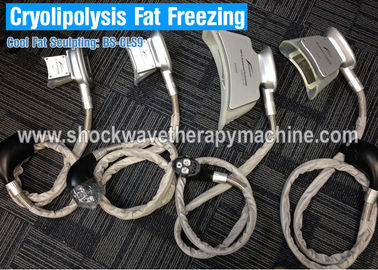 Máquina gorda do emagrecimento do gelo de Cryolipolysis com os 4 punhos para o uso do salão de beleza ou da clínica