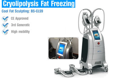 Máquinas gordas da perda de Cryolipolysis da segurança, máquina de contorno de congelação gorda do corpo