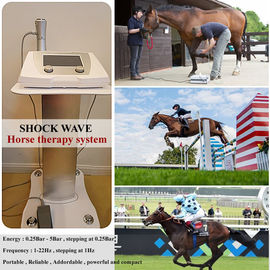 Máquina veterinária da terapia da onda de choque do de alta energia para o cavalo de corrida