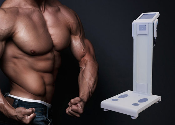 Máquina do analisador do analisador de composição BMI do corpo humano com 8 pontos de contato