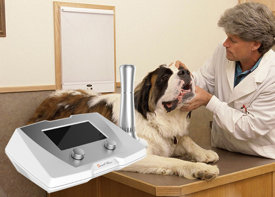 O uso veterinário atrasou máquina equino/canina cura do tratamento das fraturas da inquietação da terapia