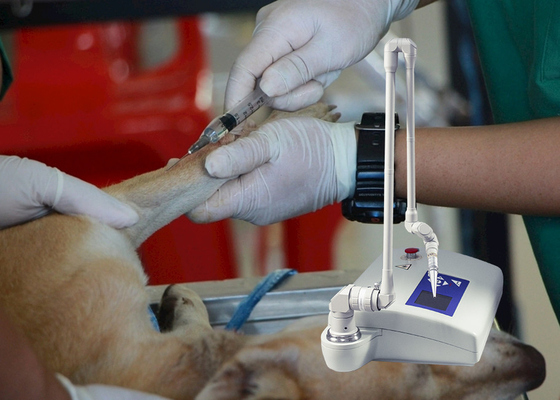 Máquina fracionária do laser do CO2 veterinário do instrumento médico para cães/hospital de animais