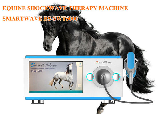 Equipamento equino da onda de choque da máquina radial profissional da terapia da inquietação da fisioterapia