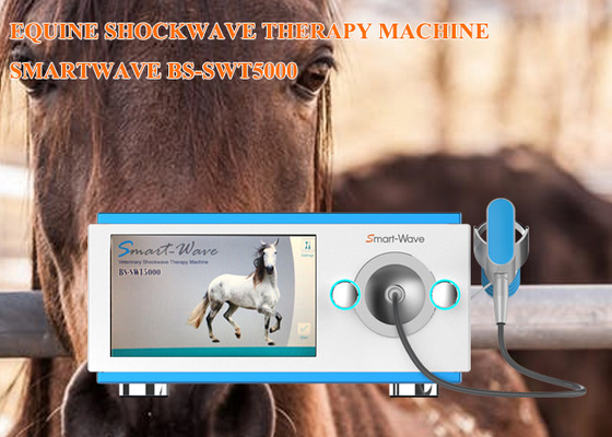 Dispositivo extracorporal da terapia da inquietação dos cavalos de ESWT