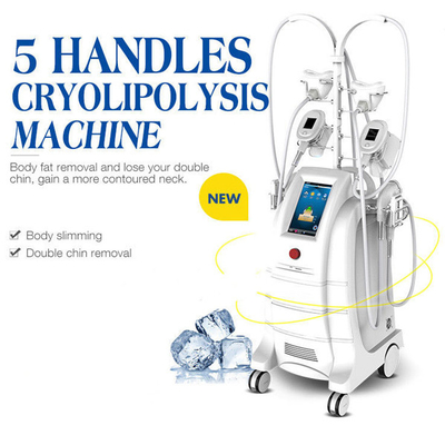 Corpo de máquina gordo da congelação de Cryolipolysis de 5 punhos que esculpe a máquina para a redução gorda