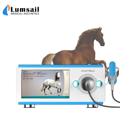 Máquina equino radial física animal pequena da inquietação para o tratamento do cavalo