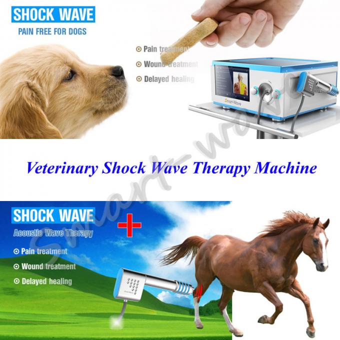 Terapia veterinária da onda de choque da fisioterapia animal pequena radial da inquietação da inquietação para o tratamento do cavalo