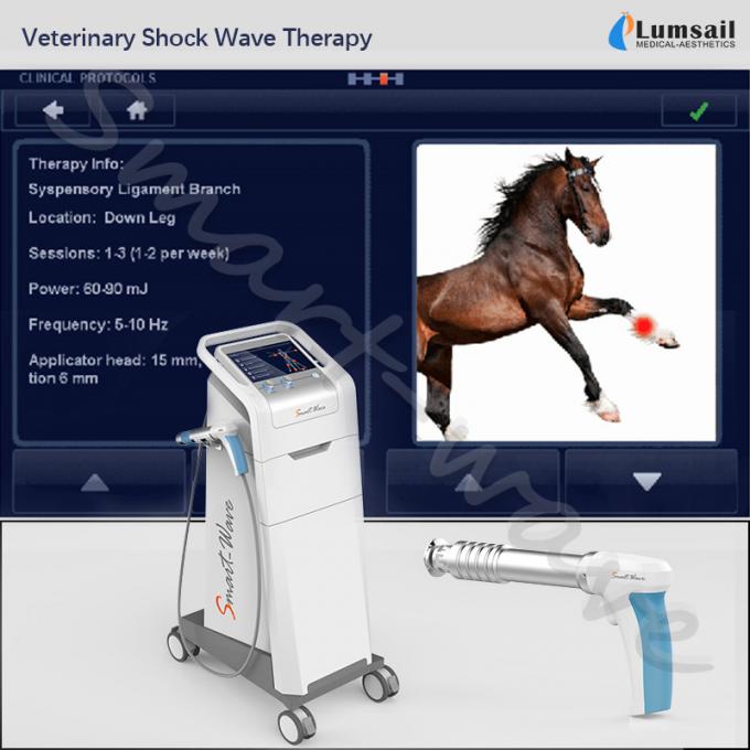 Os animais de estimação pequenos veterinários da fisioterapia usam a máquina extracorporal da onda de choque do cavalo da terapia da inquietação equino
