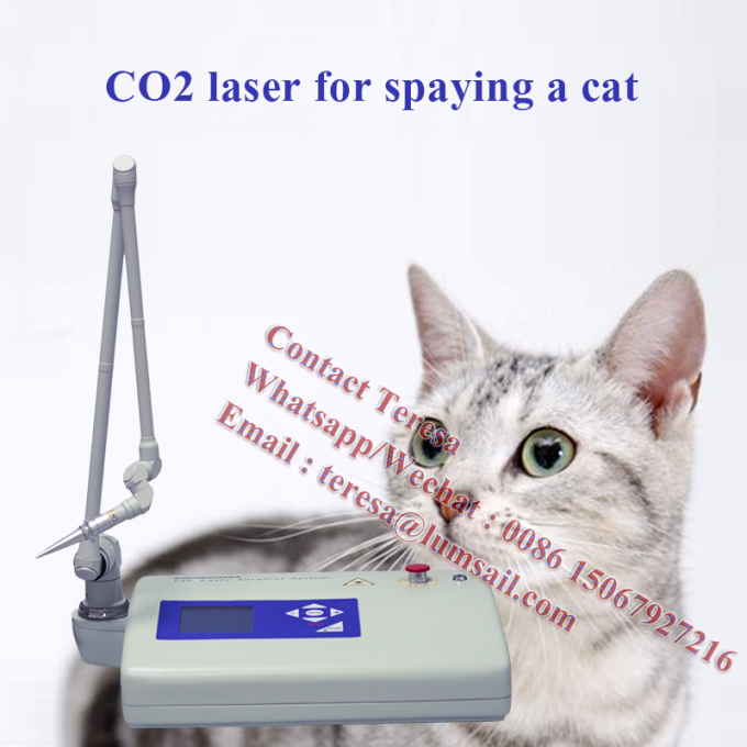 Laser veterinário cirúrgico portátil do CO2 da tecnologia 15W